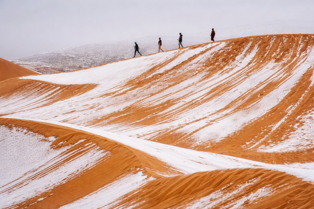 Когда барханы Сахары покрываются снегом