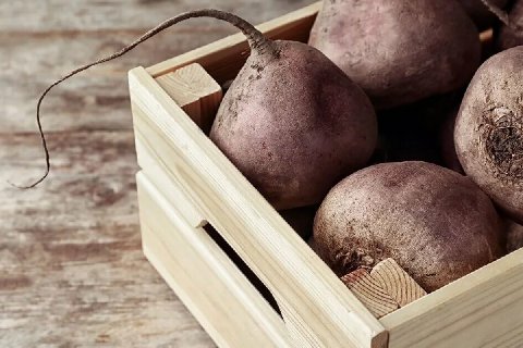 Как хранить свёклу, чтобы она пролежала до весны