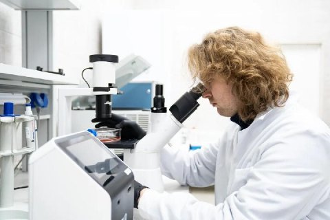 Сеченовский университет нашёл способ ускорить заживление инфицированных ран