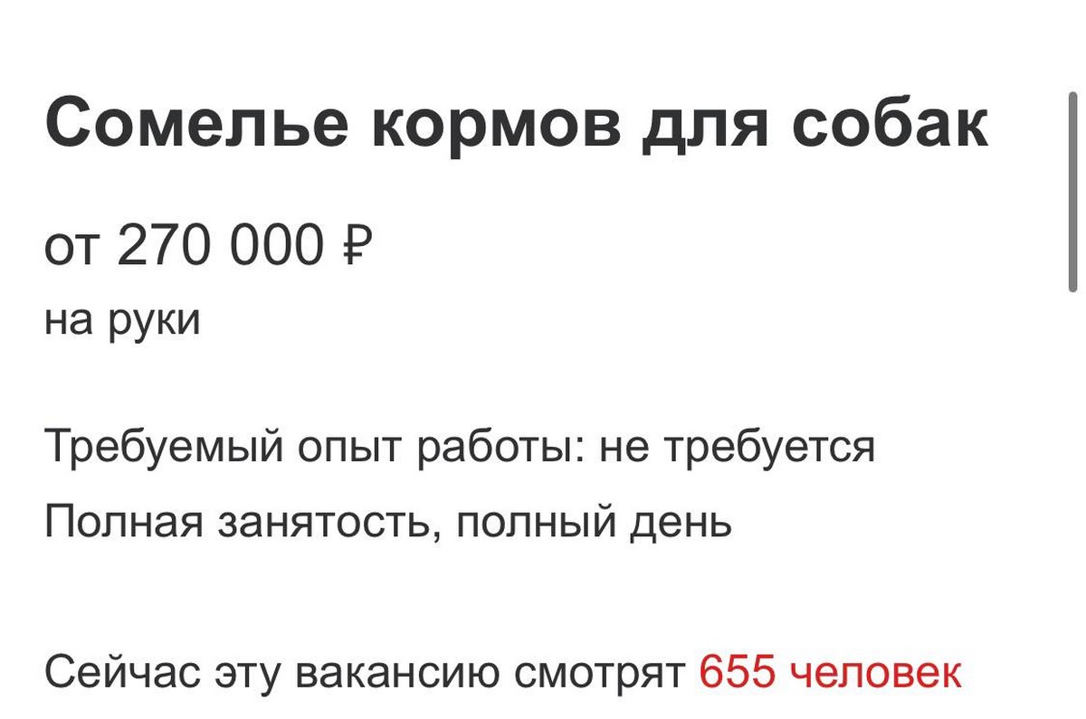 В крупном российском городе ищут «собачьего сомелье» {Изнанка.news}  04.11.2023 17:00:00