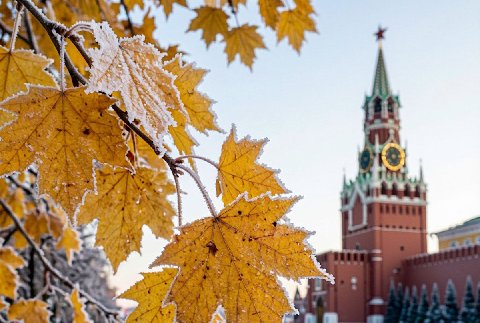 Первые заморозки придут в Московский регион в ночь на 4 октября