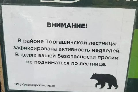 Из-за медведей закрыли самую длинную лестницу в России