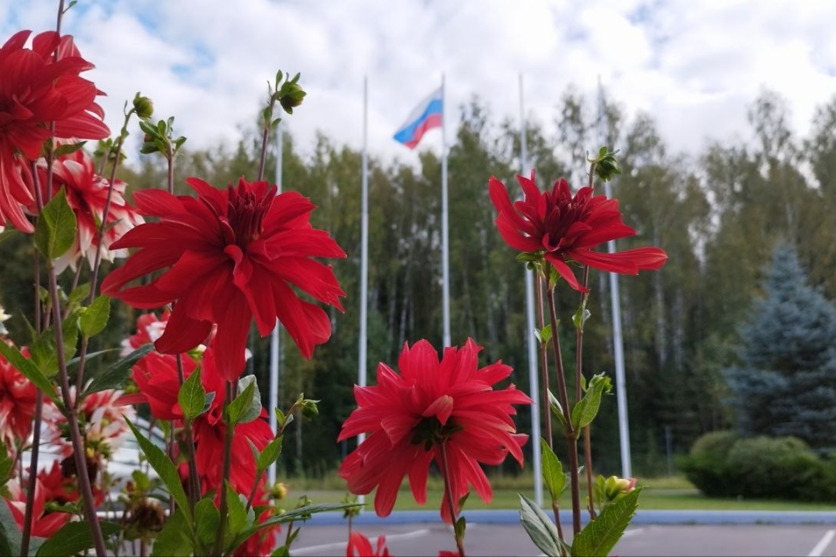 Бабье лето придёт в Центральную Россию 16 сентября