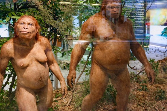 Неандертальцы оказались разборчивее, чем мы думали