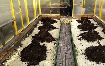 Когда следует менять грунт в теплице