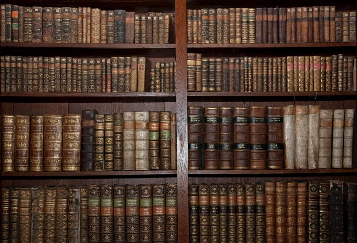 Редкие издания русских классиков исчезают из библиотек в странах Европы
