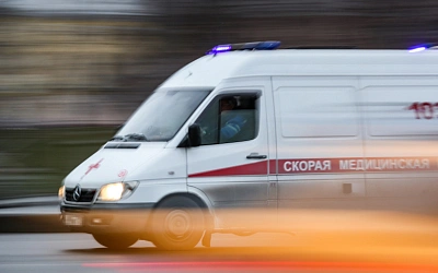В Подмосковье собака убила двухмесячного младенца