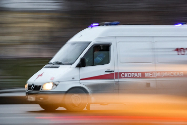 В Подмосковье собака убила двухмесячного младенца