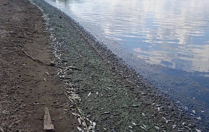 В Пермском крае усиливается гидрологичекая засуха