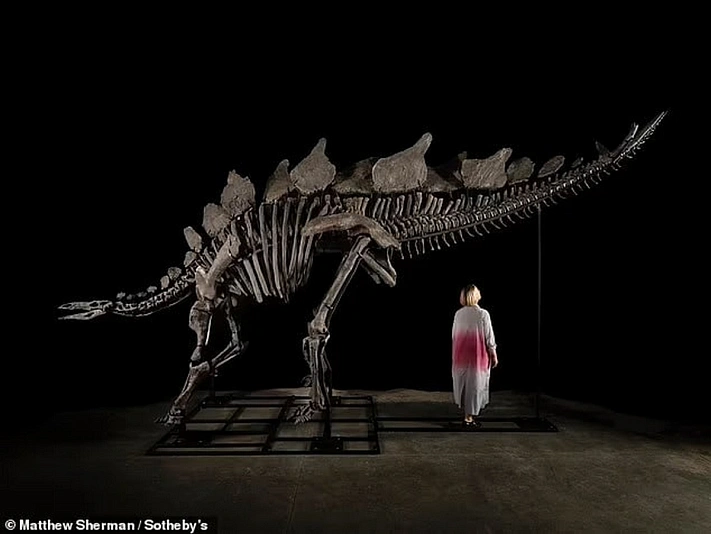 На торгах продадут скелет динозавра 