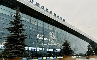 Суд взыскал в доход государства ДМЕ Холдинг — оператора аэропорта «Домодедово»