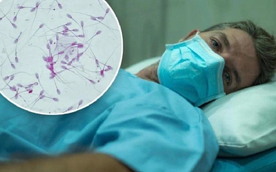 COVID и мужская фертильность — проверяем громкое заявление