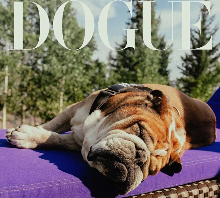 Журнал Vogue опубликовал снимки победителей конкурса собаки-модели