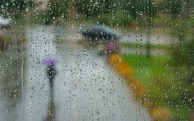 Ливни вот-вот обрушатся на Центральную Россию
