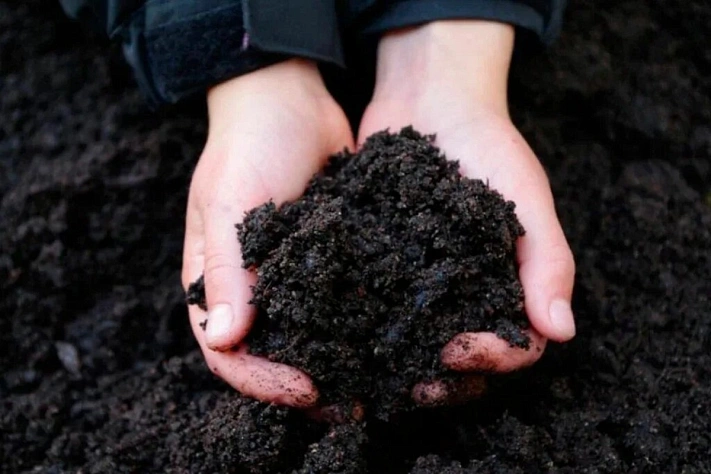 Земли на западе и востоке Подмосковья дешевеют