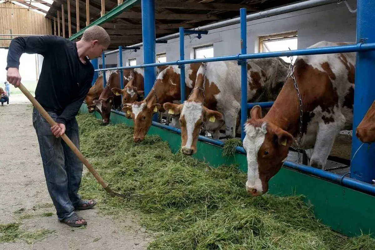 Сельхозпроизводители просят отменить маркировку продукции