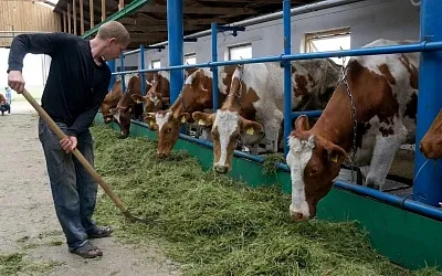 Сельхозпроизводители просят отменить маркировку продукции