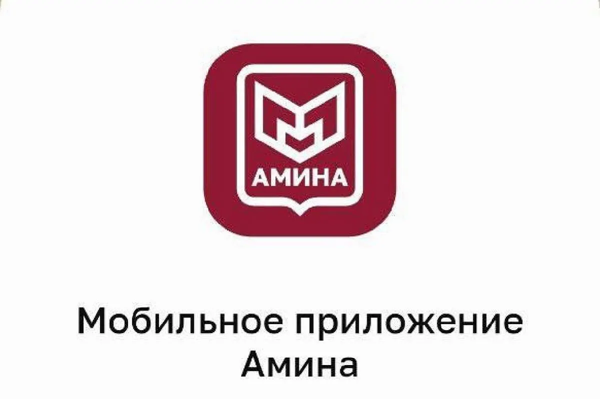 Мигрантов в столичном регионе обязали установить геотрекинг-приложение «Амина»