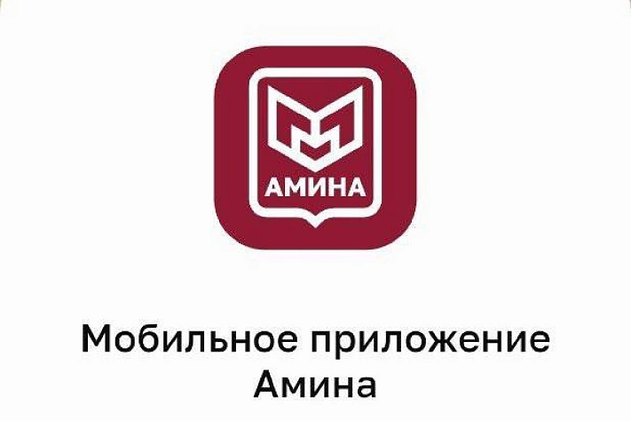 Мигрантов в столичном регионе обязали установить геотрекинг-приложение «Амина»