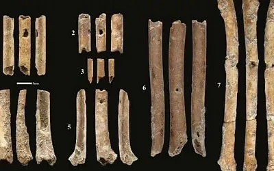 На Ближнем Востоке нашли музыкальные инструменты из костей