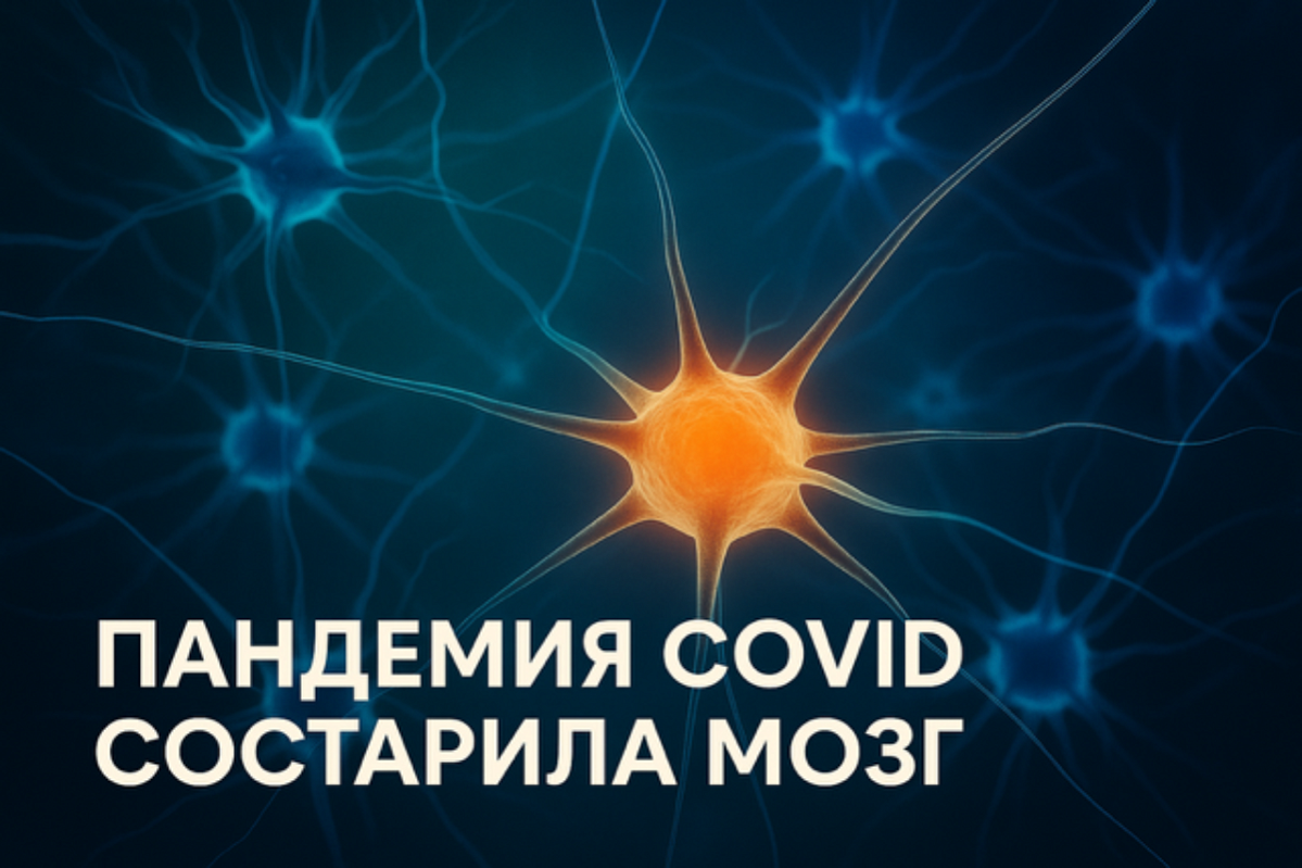 Как пандемия повлияла на мозг: эффект преждевременного старения