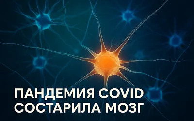 Как пандемия повлияла на мозг: эффект преждевременного старения