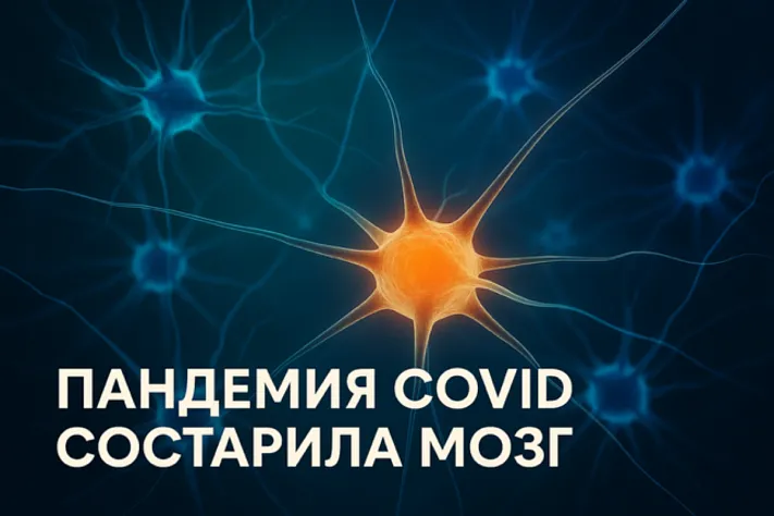 Как пандемия повлияла на мозг: эффект преждевременного старения