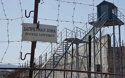 Огромная мультиколония появится в пригороде Калуги