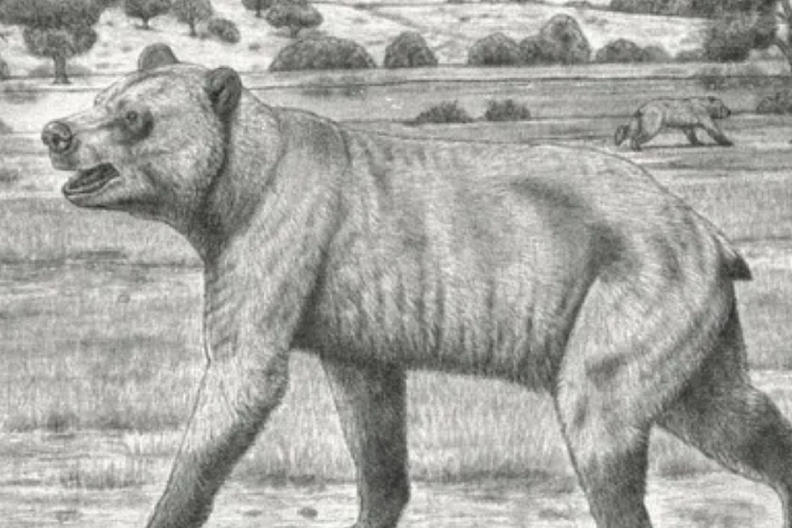 В Ставрополье обнаружены останки «панды из ада» 