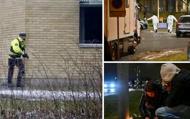 Массовая стрельба в шведском учебном заведении: не менее 10 погибших в Эребру