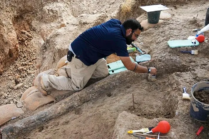 В Израиле нашли «капсулу времени» возрастом до 400 тысяч лет