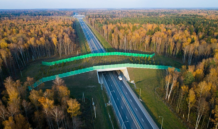 Стало известно, сколько в России экодуков