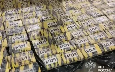 В России изъяли огромную партию кокаина