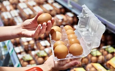 Лотки на 10 яиц могут исчезнуть с полок магазинов