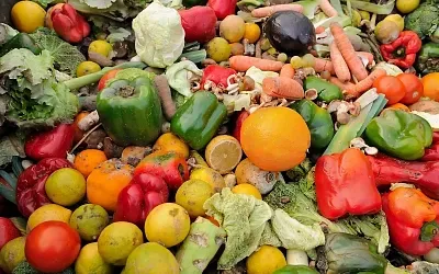Одна из торговых сетей в России запустила переработку испортившихся продуктов с помощью мух