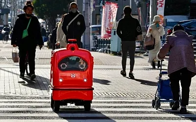 Забавные и неожиданные события 2024 года: курьезы, мимо которых сложно пройти