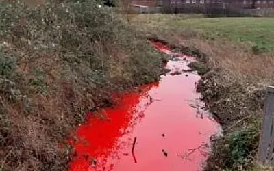 В британском городе ручей стал кроваво-красным 
