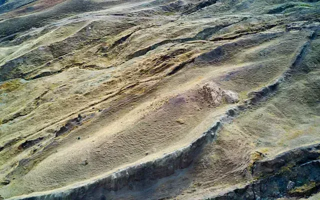 Внутри «Араратской аномалии» есть ДНК древних животных?