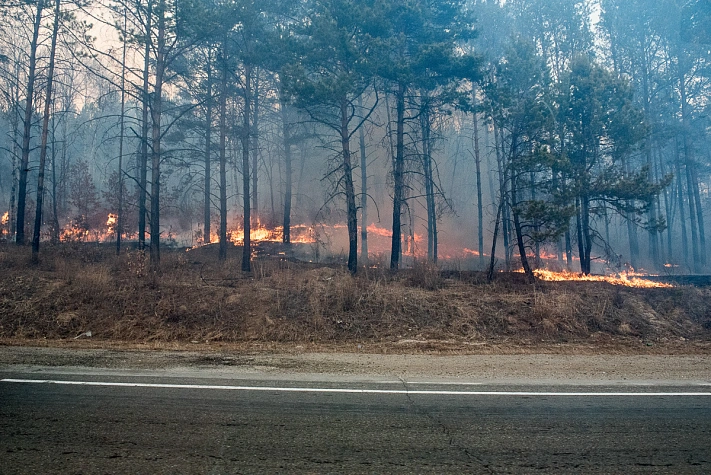 В Приамурье пытаются потушить 15 природных пожаров