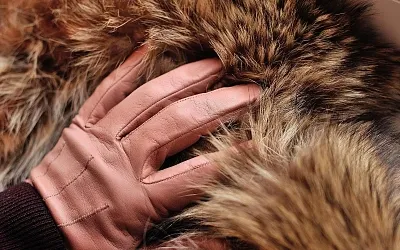  В Саратовском регионе для чиновников ввели негласный дресс-код