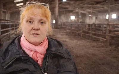 В Новосибирской области спор о забое скота перешёл в судебную плоскость