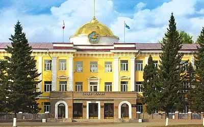 Власти Тывы предлагают увольнять госслужащих за пьяную езду