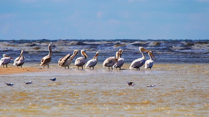 Каспийское море стало мельче