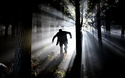 Осуждённый за убийство сбежал из колонии-поселения в Бежецке