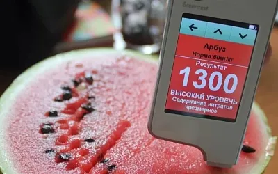 Российские туристы массово травятся арбузами в Хургаде