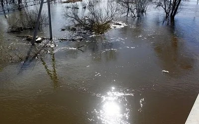 В Московской области введён «оранжевый» уровень погодной опасности
