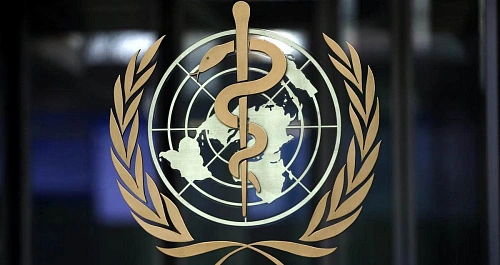  ВОЗ: в 15 странах объявлена эпидемия холеры