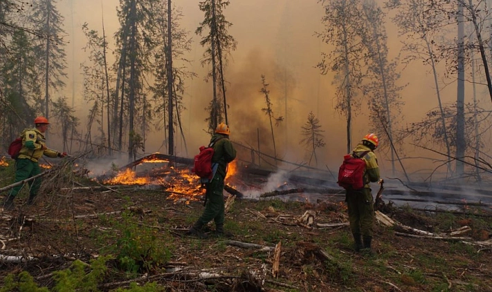 В Якутии сгорело уже свыше 60 тысяч гектаров леса