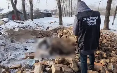 Мэр Шилки осуждён за халатность
