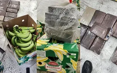 В порту Санкт-Петербурга задержали контрабанду 11 кг кокаина